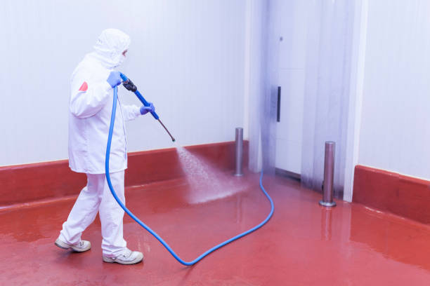 Best Dumpster Area Cleaning  in West Deland, FL