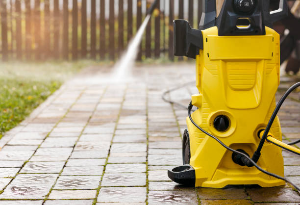 Best Animal Enclosure Cleaning  in West Deland, FL